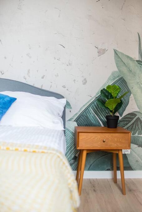 Cozy, Small Studio.Great Location / Mala Kawalerka شتشيتسين المظهر الخارجي الصورة